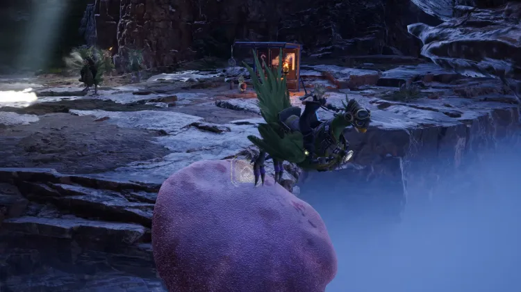 Fungo Trampolino Chocobo