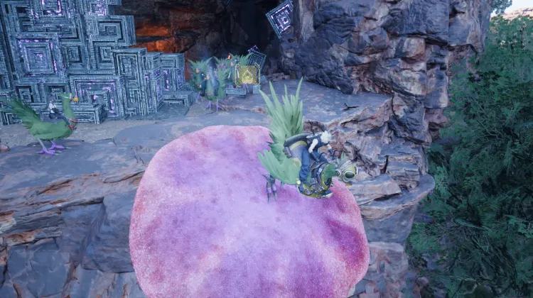 Fungo Trampolino Chocobo