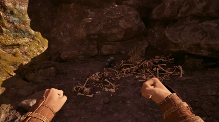 กระดูกสเคน