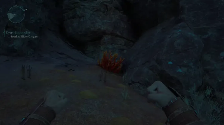 ปะการังถ้ำ