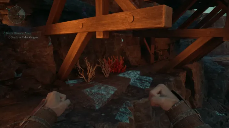 ปะการังถ้ำ