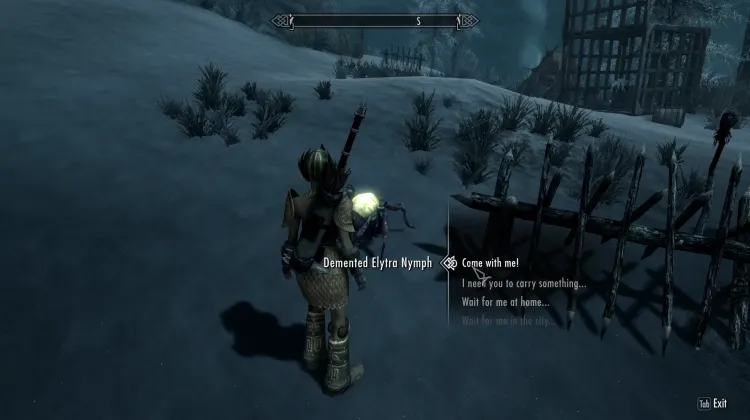 Demented Elytra Nymph