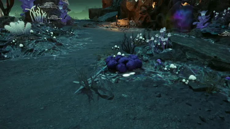 โซลสปันจ์