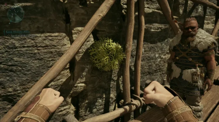 ขนของฮันต์