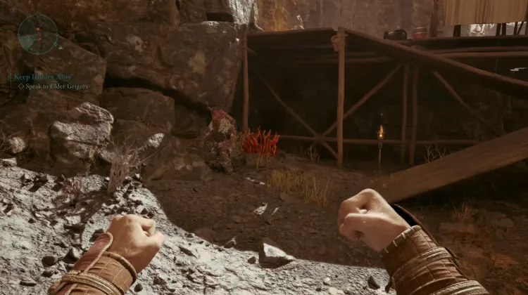 ปะการังถ้ำ