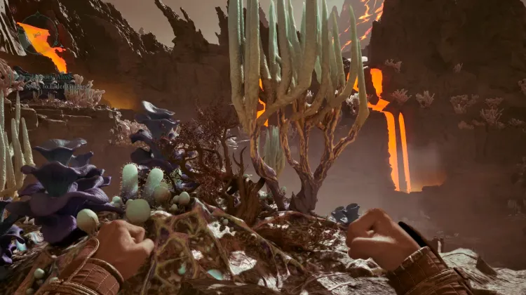 เมลอนหัวใจสับ