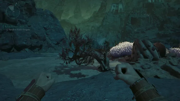 เมลอนหัวใจสับ