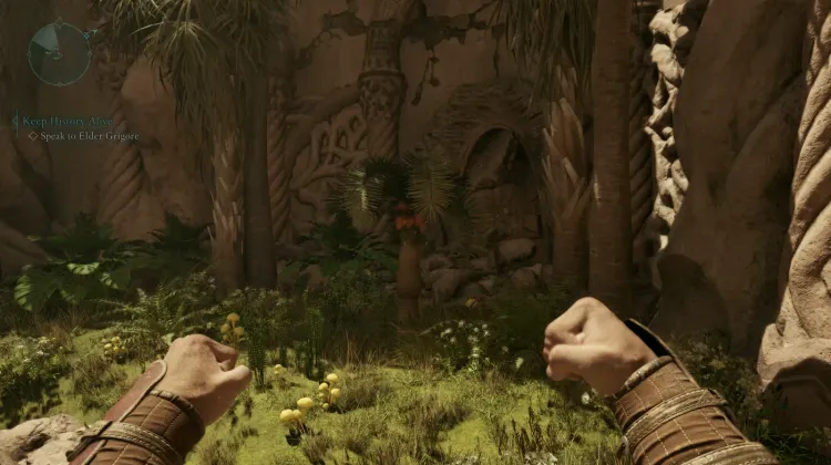 หินปาล์ม