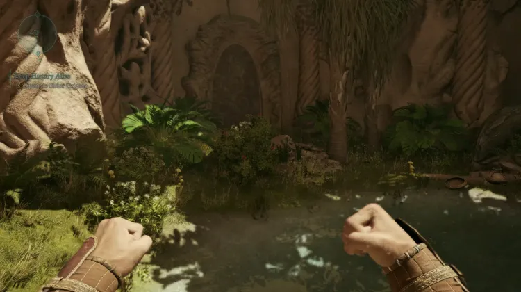 สปริงเบอร์รี่