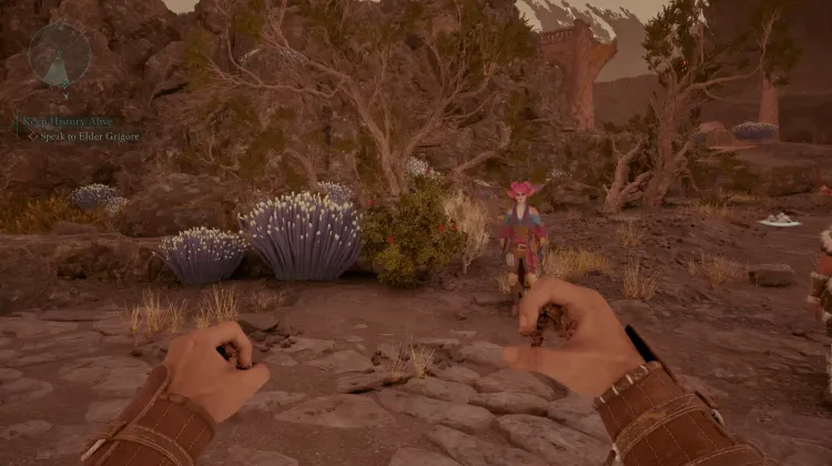 สปริงเบอร์รี่