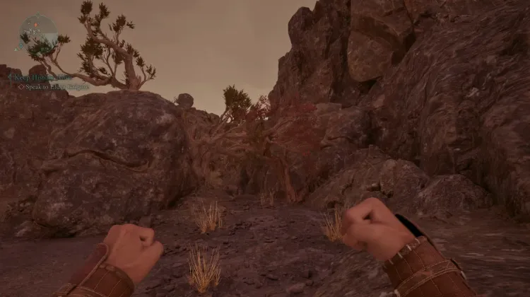 เมลอนหัวใจสับ