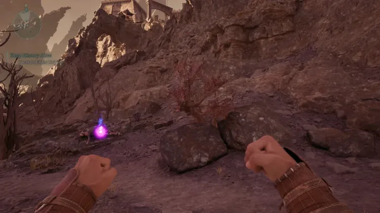 เมลอนหัวใจสับ