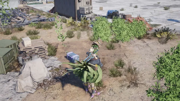 Resounding Megaphone