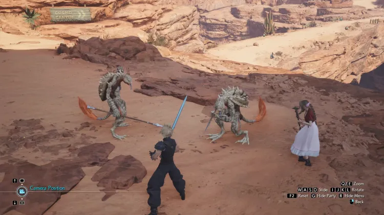 मरुस्थल सहगिन