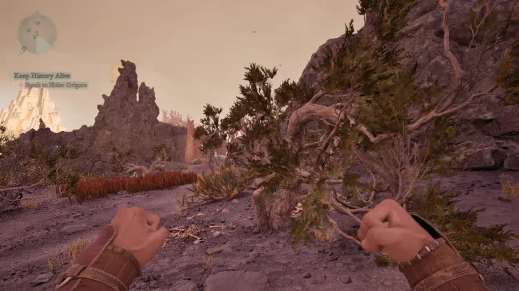 เมลอนหัวใจสับ