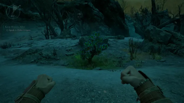 ผลไผ่หนาม