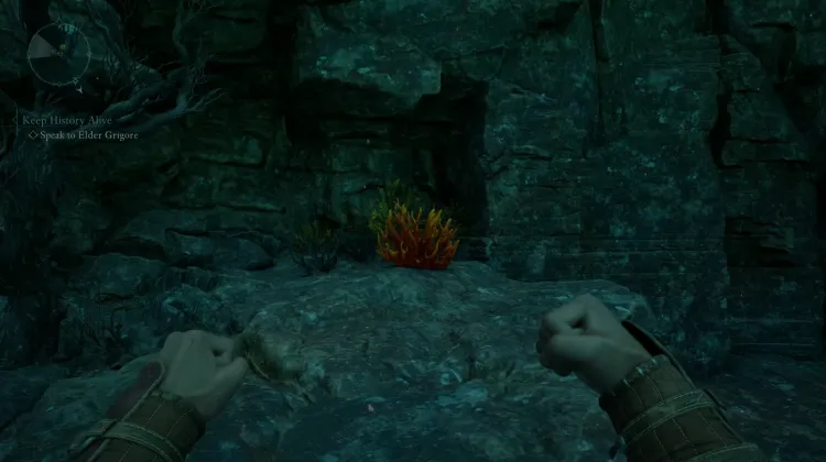 ปะการังถ้ำ