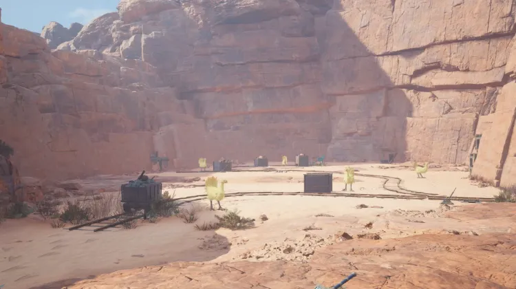 Cosmo Canyon's Soaring Birds