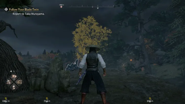 ต้นแปะก๊วยยักษ์