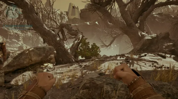 สปริงเบอร์รี่