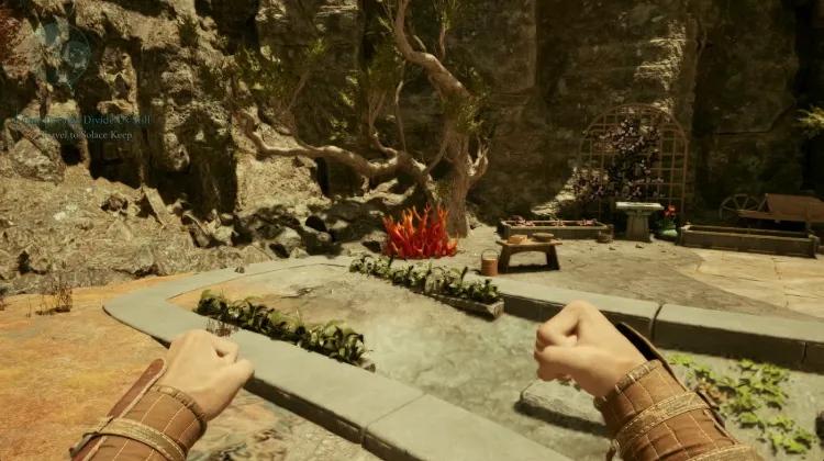 ปะการังถ้ำ