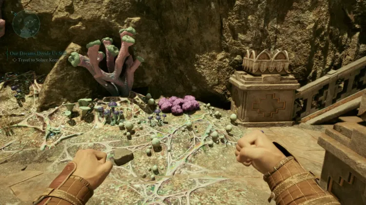 โซลสปันจ์