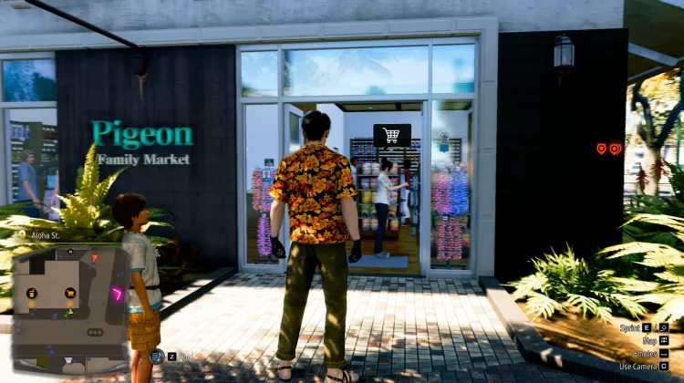 Pigeon Family Market