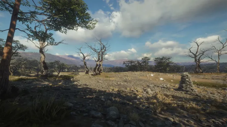 Cementerio del Penitente