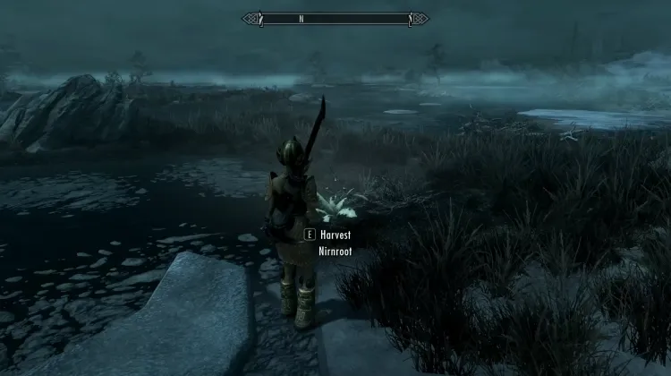 Nirnroot