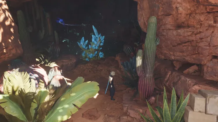 आवृत खंडहर जीवनझरना