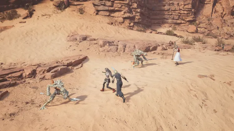 मरुस्थल सहगिन