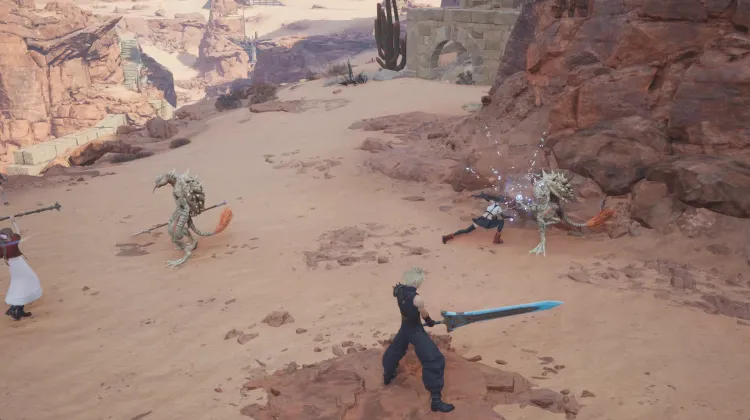 मरुस्थल सहगिन