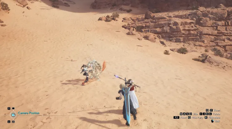 मरुस्थल सहगिन