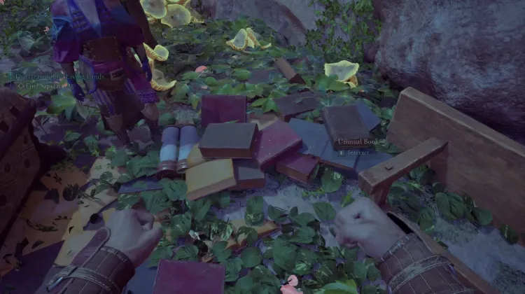 หนังสือแปลกประหลาด