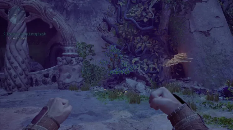 ผลไธรนฟรุต