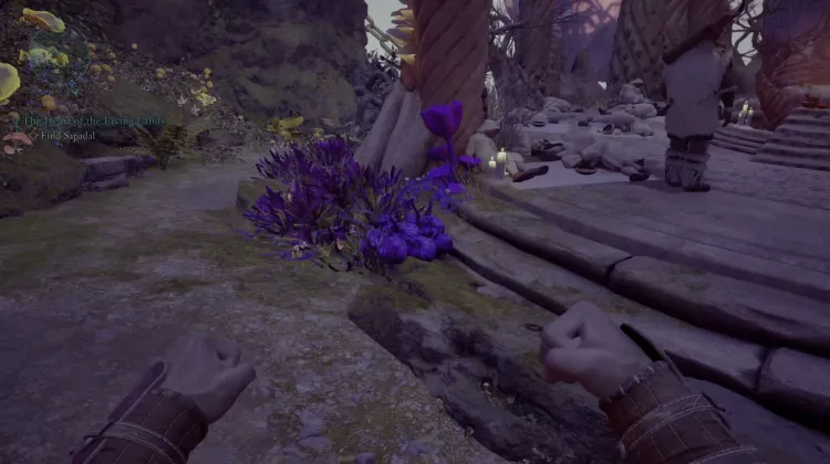 โซลสปันจ์