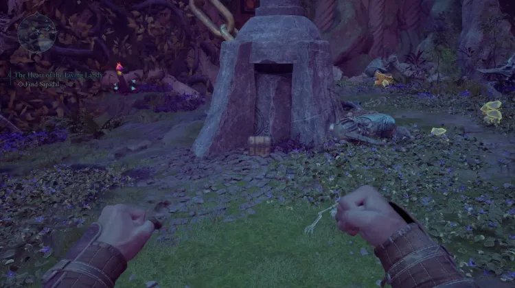 Ring of Amplification