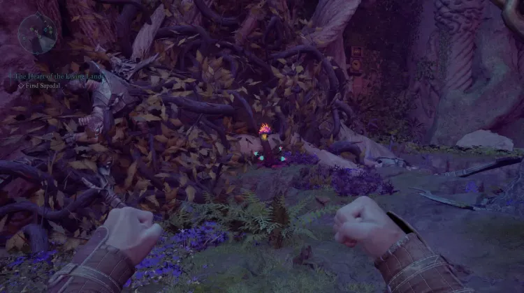 Seme di Giglio Elettrico