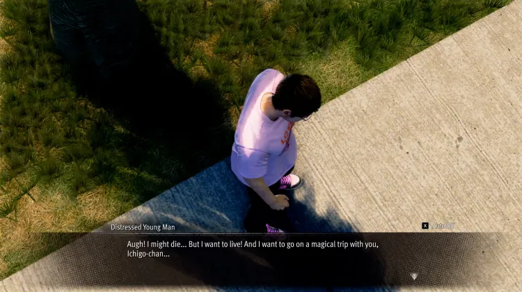 If I Weren't an Idol