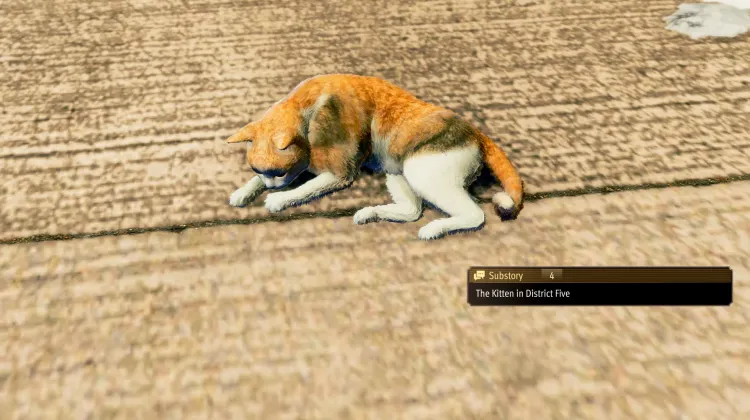 The Kitten in District Five