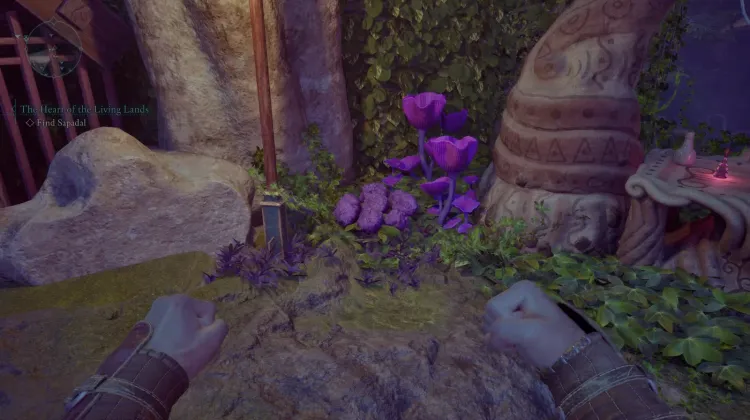 โซลสปันจ์