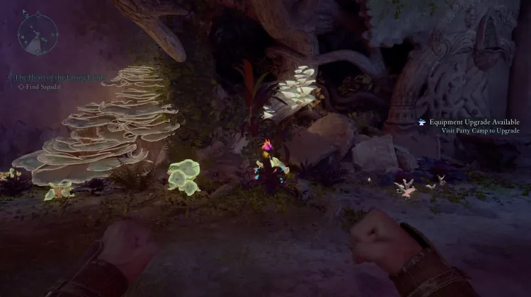 Seme di Giglio Elettrico