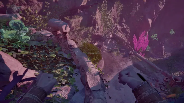 ขนของฮันต์