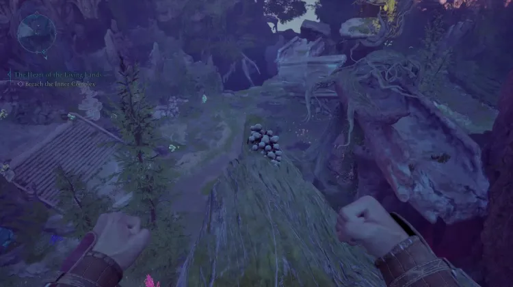 ลูกธนูของผู้ตั้งถิ่นฐาน