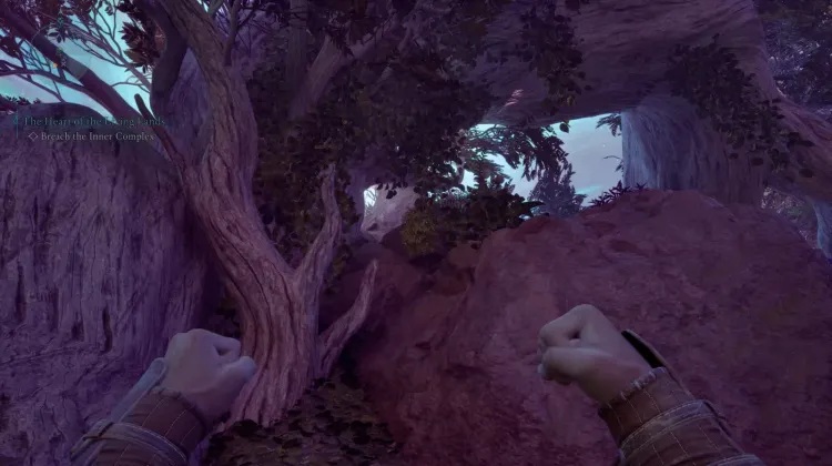 ขนของฮันต์