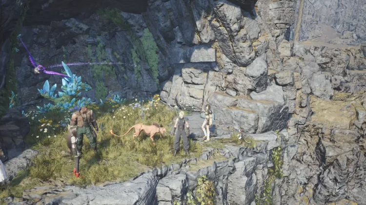 Gunnthra Terrace Lifespring