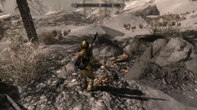 Filon de minerai d'or