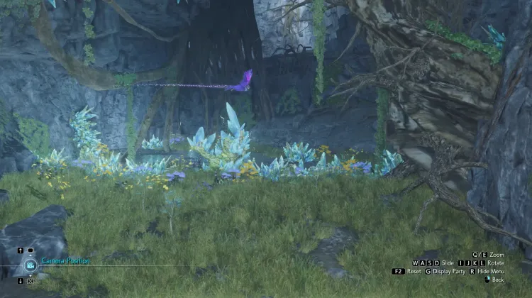 Delta Island Lifepsring