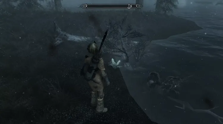 Nirnroot