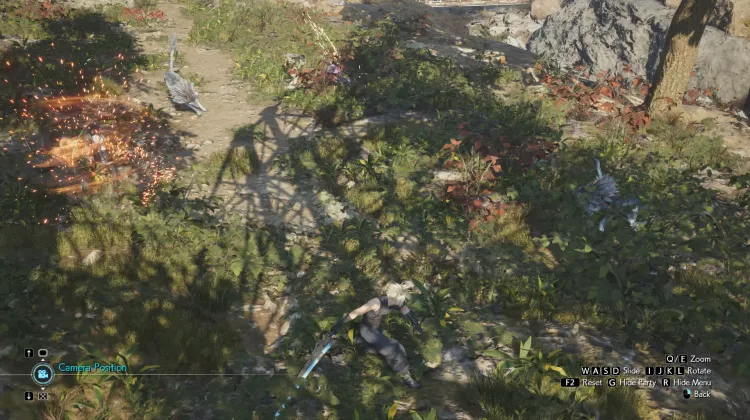 Poison Cap & Nibel Wolf